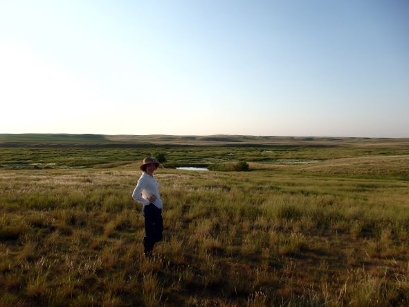 Burstall